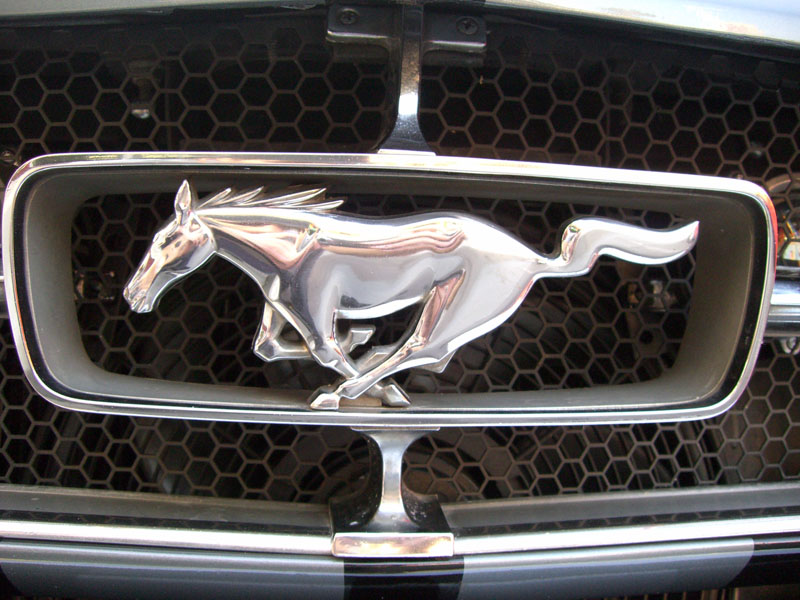 Rassemblement 'classiques' américaines (NOUVELLES PHOTOS!!!) Black_stang3